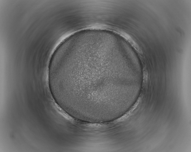 X0000111841232200908061247