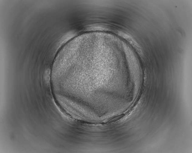 X0000111841233200908061247