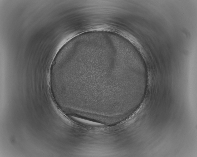 X0000111841234200908061247