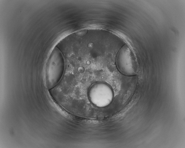 X0000111841235200908061247