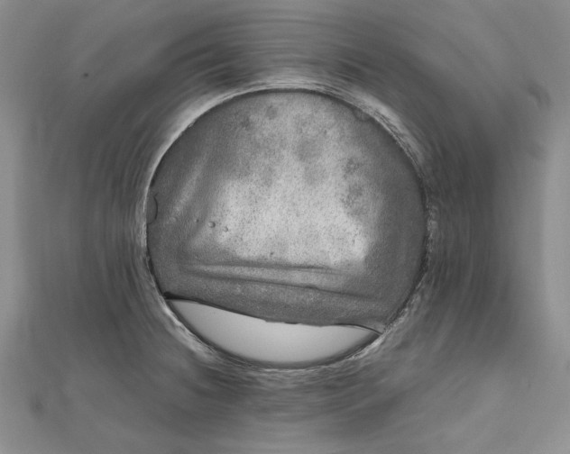 X0000111841236200908061247