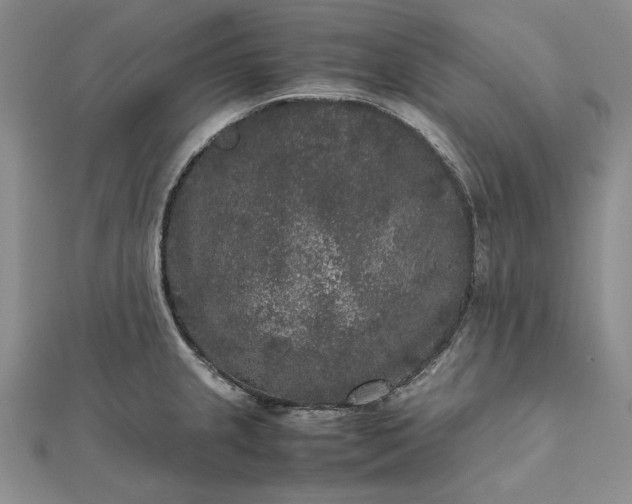 X0000111841237200908061247