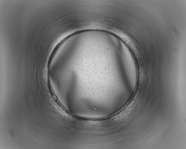 X0000111841238200908061247