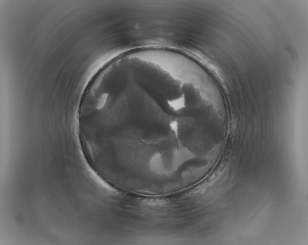 X0000111841239200908061247