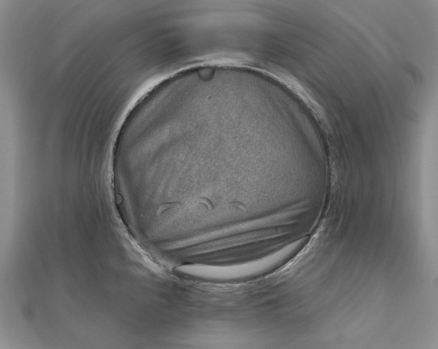 X0000111841240200908061247