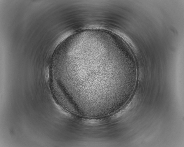 X0000111841241200908061247