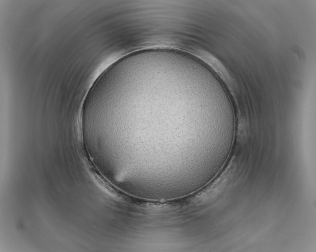 X0000111841242200908061247