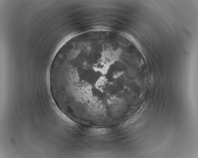 X0000111841243200908061247