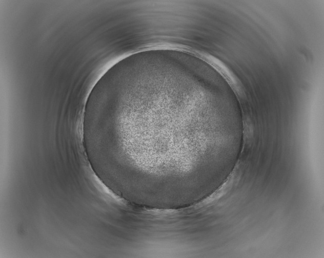 X0000111841244200908061247