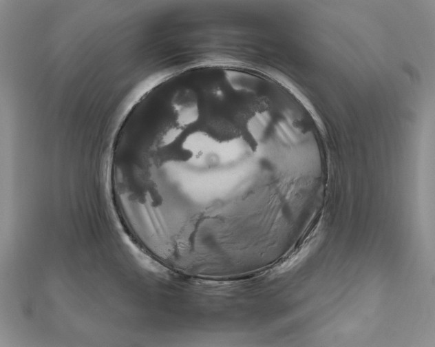 X0000111841245200908061247