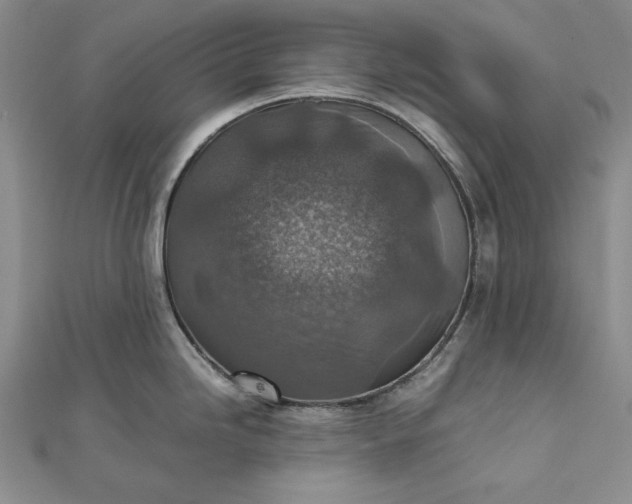 X0000111841246200908061247