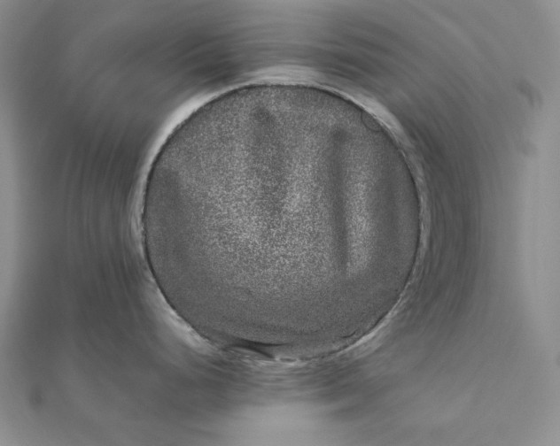 X0000111841248200908061247