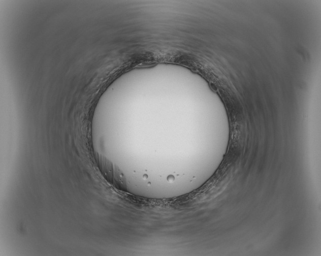 X0000111841249200908061246