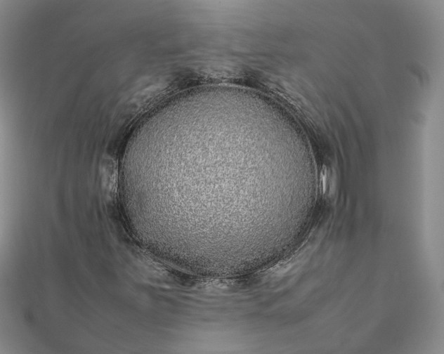 X0000111841251200908061246