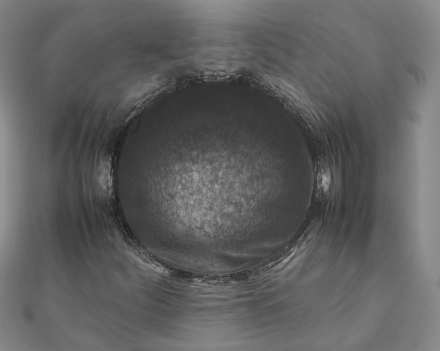 X0000111841252200908061246