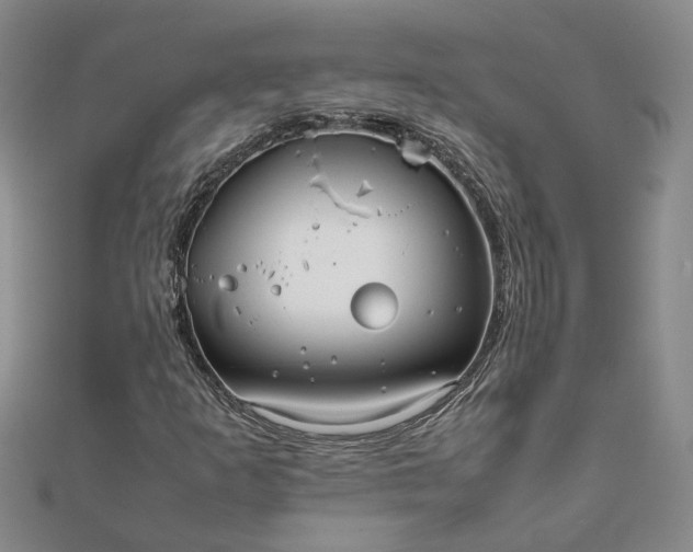 X0000111841253200908061246