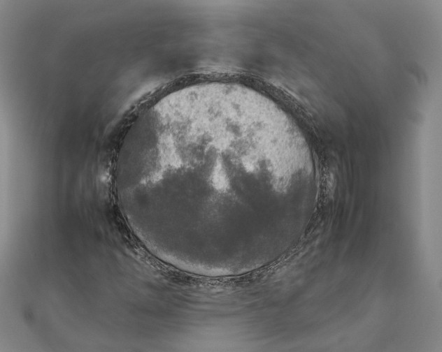 X0000111841254200908061246