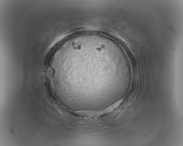 X0000111841255200908061246