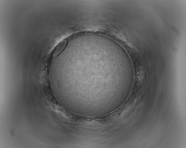 X0000111841256200908061246