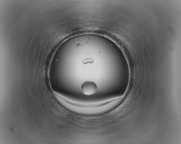 X0000111841257200908061246