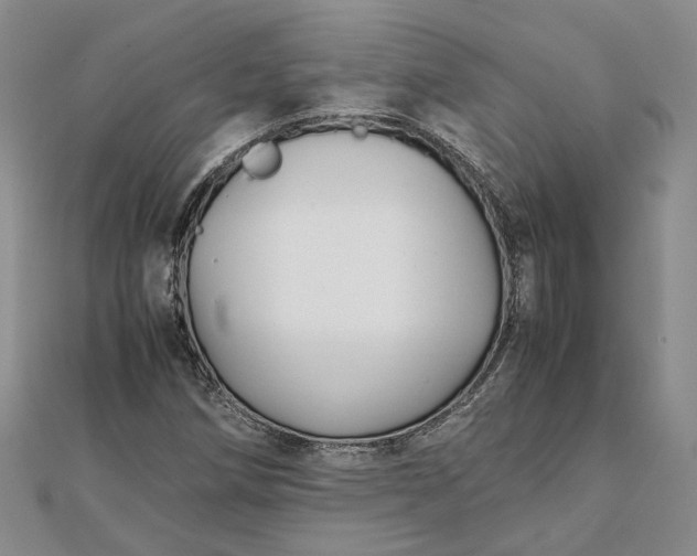 X0000111841258200908061246