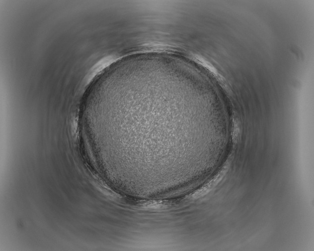 X0000111841259200908061246