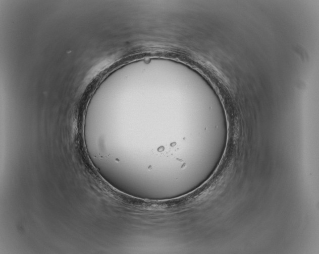 X0000111841261200908061246