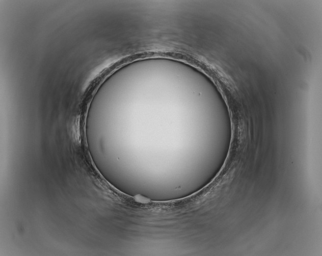 X0000111841262200908061246