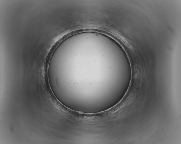 X0000111841264200908061246