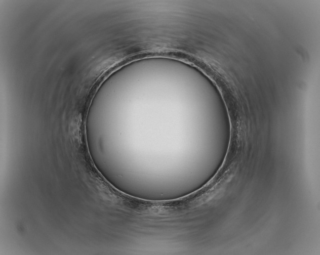 X0000111841265200908061246