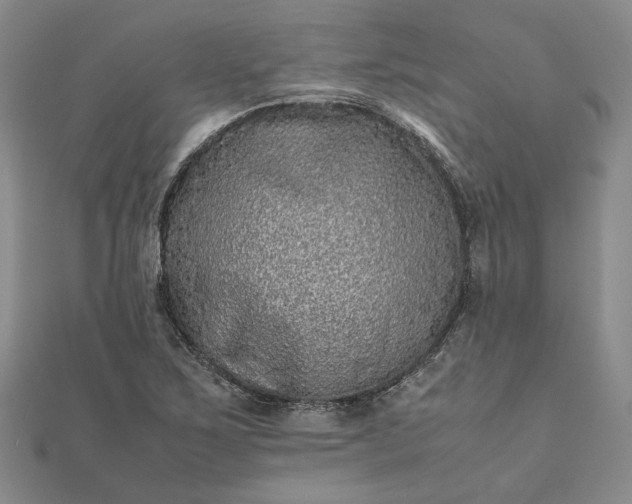 X0000111841267200908061246