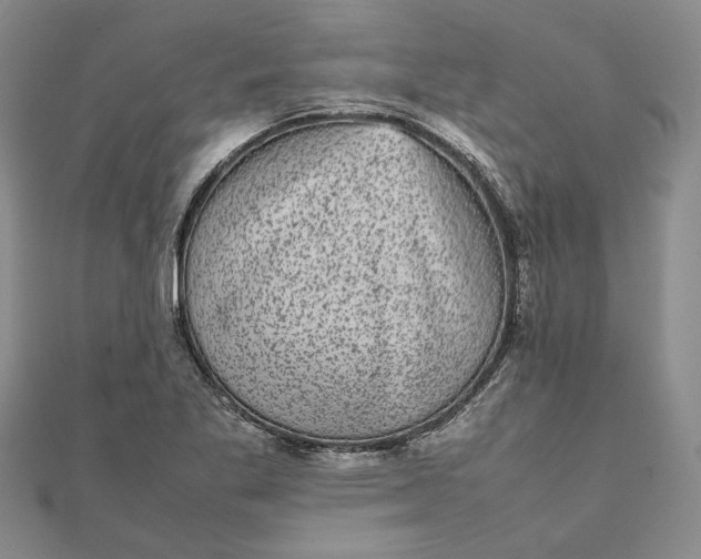 X0000111841269200908061246