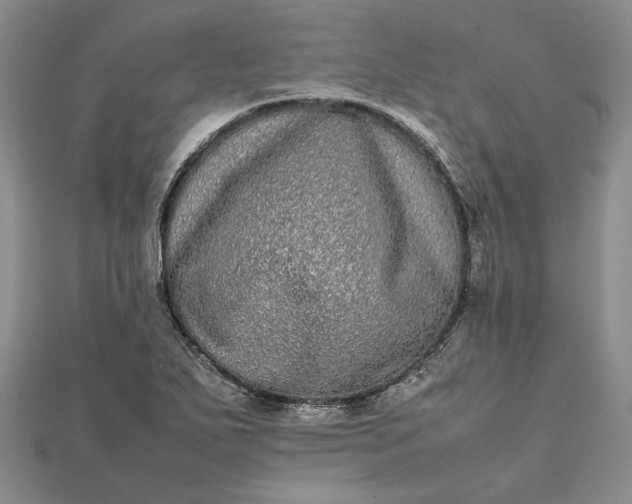 X0000111841271200908061246