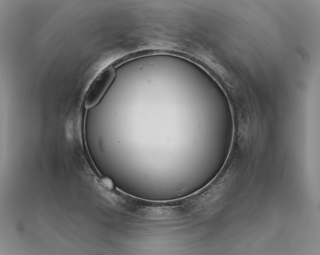 X0000111841272200908061246