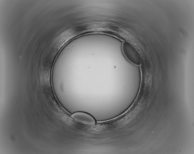 X0000111841273200908061246