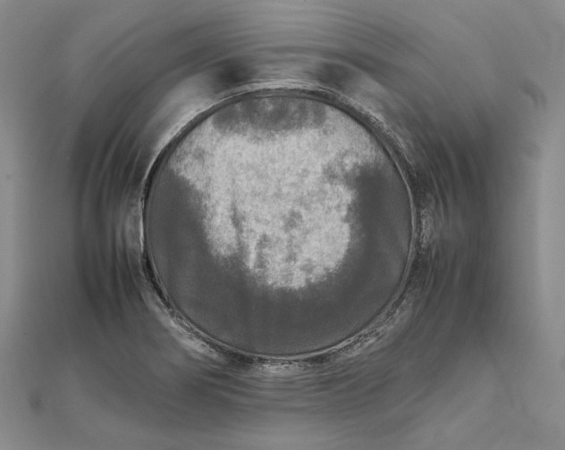 X0000111841274200908061246