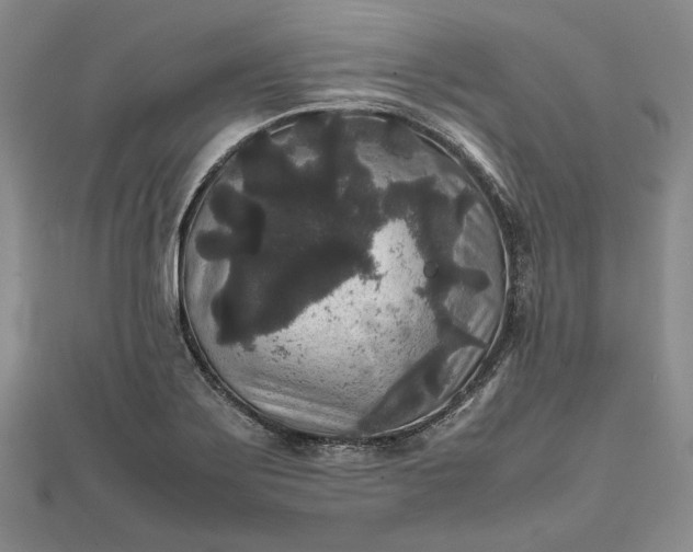 X0000111841275200908061246