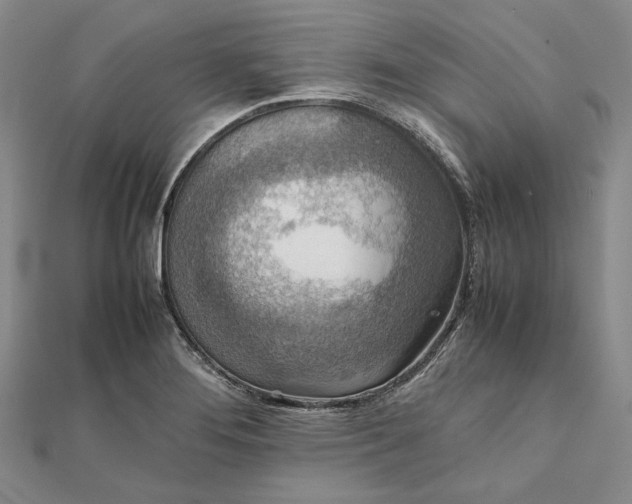 X0000111841276200908061246