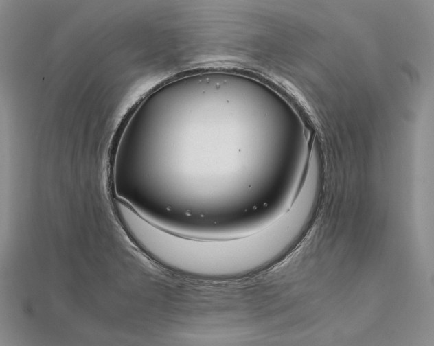 X0000111841277200908061246