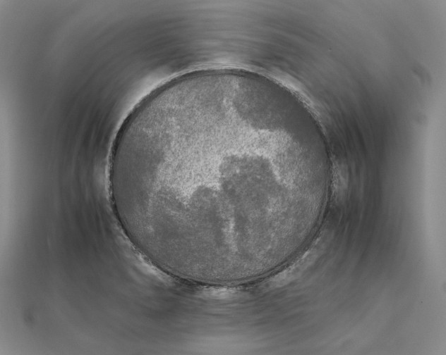 X0000111841278200908061246