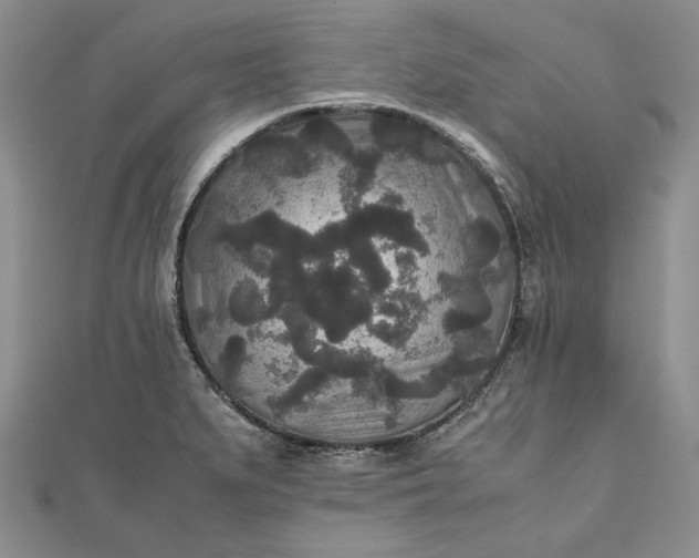 X0000111841279200908061246