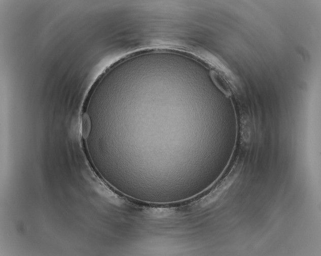 X0000111841280200908061246