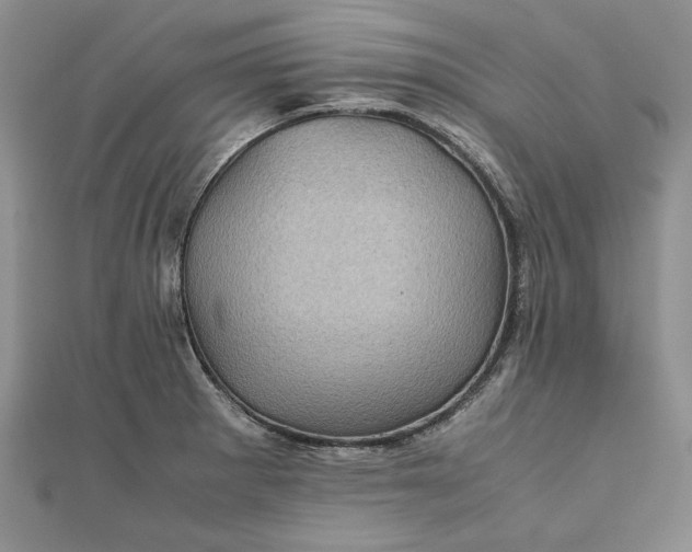 X0000111841281200908061246