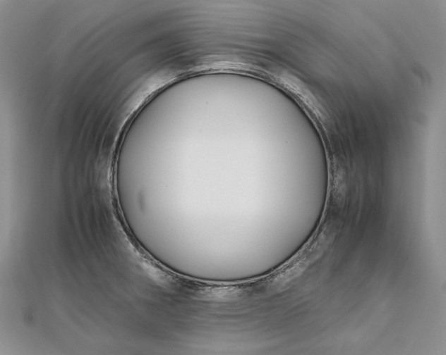 X0000111841282200908061246