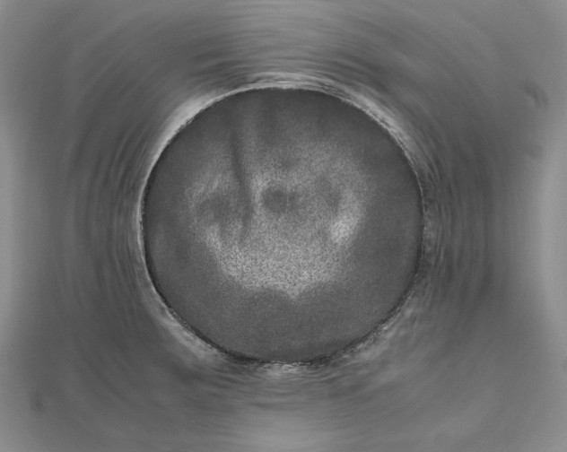 X0000111841283200908061246