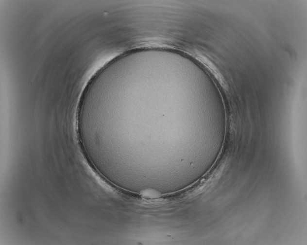 X0000111841285200908061246