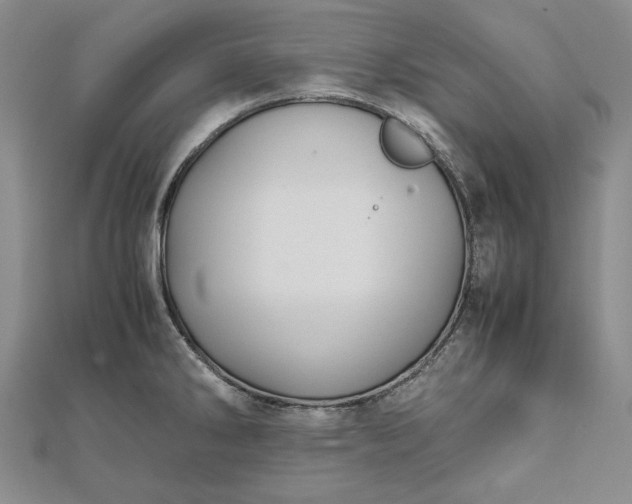 X0000111841286200908061246