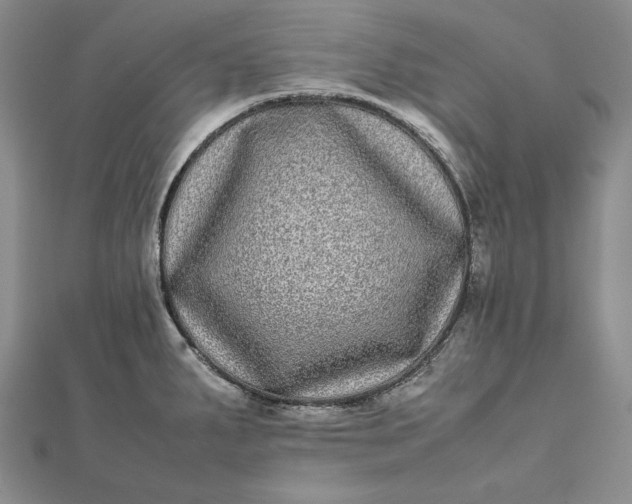 X0000111841287200908061246