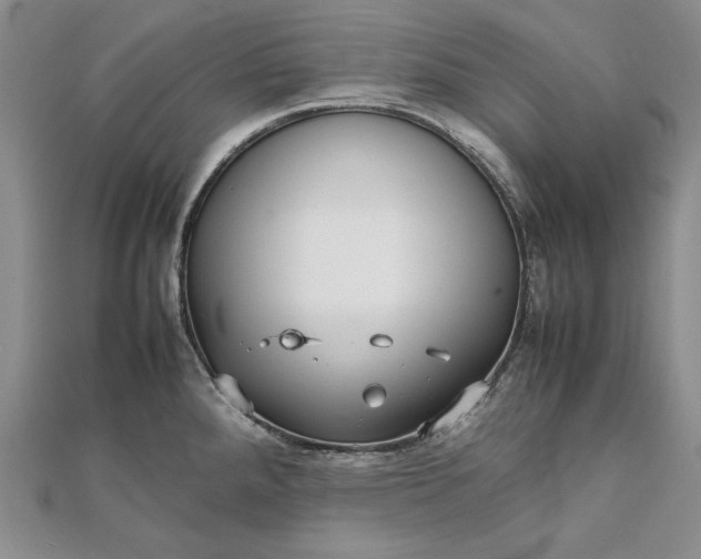 X0000111841288200908061246