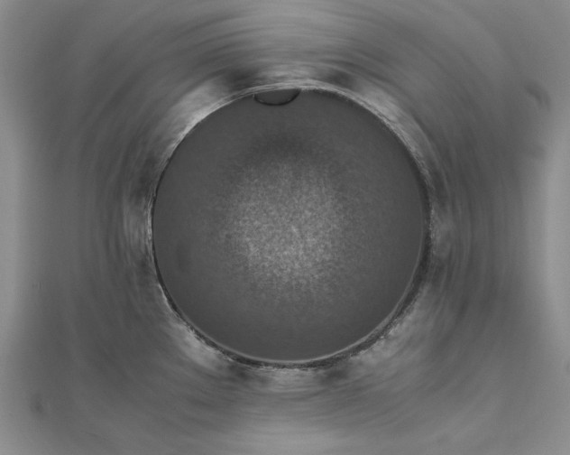 X0000111841289200908061246